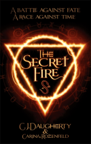 the secret fire cover